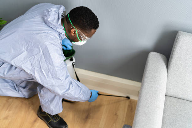 Trusted North El Monte, CA Pest Control Experts